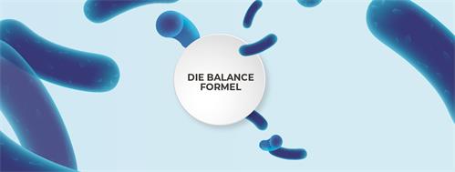 DIE BALANCE FORMEL trademark