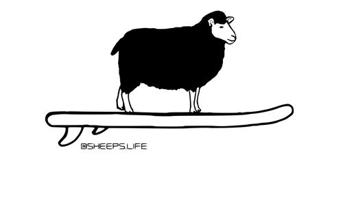 SHEEPS.LIFE trademark