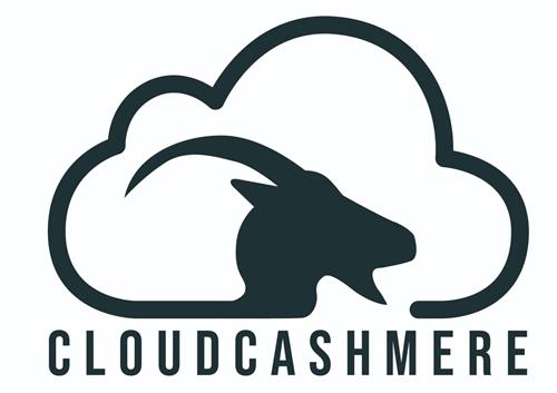 CLOUDCASHMERE trademark