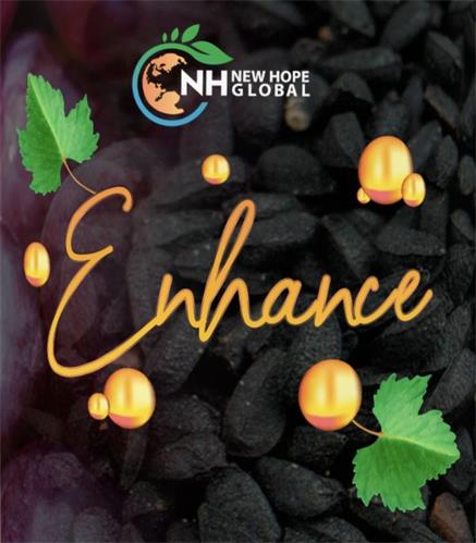 NH NEW HOPE GLOBAL Enhance trademark