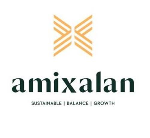 AMIXALAN SUSTAINABLE BALANCE GROWTH trademark