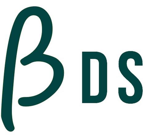 B DS trademark