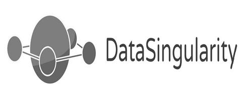 DATASINGULARITY trademark