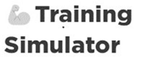 Training Simulator trademark