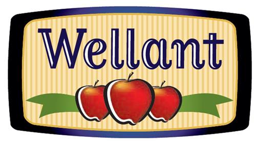 WELLANT trademark