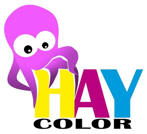 HAY COLOR trademark