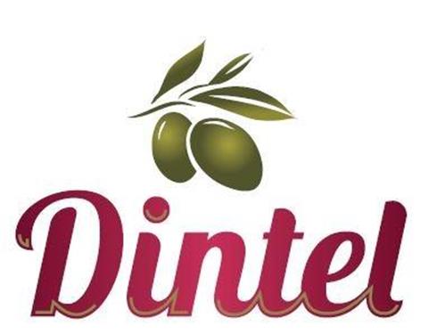 Dintel trademark