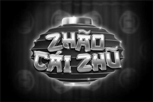 ZHÃO CÁI ZHŨ trademark