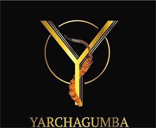 YARCHAGUMBA trademark