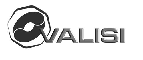 VALISI trademark