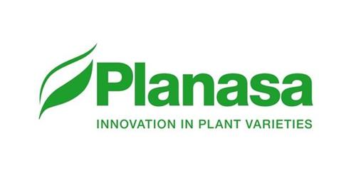 Planasa INNOVATION IN PLANT VARIETIES trademark