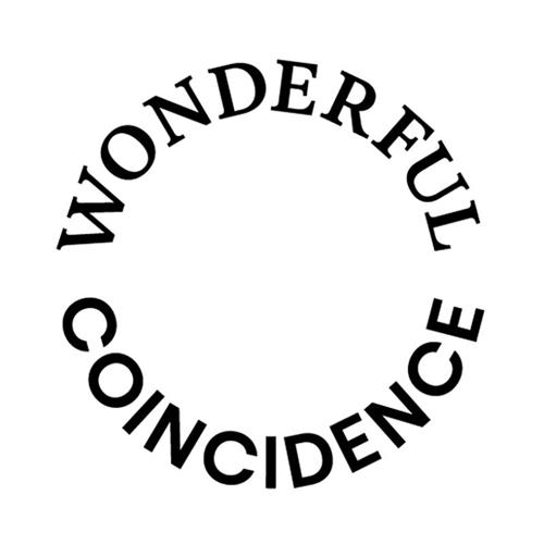 WONDERFUL COINCIDENCE trademark