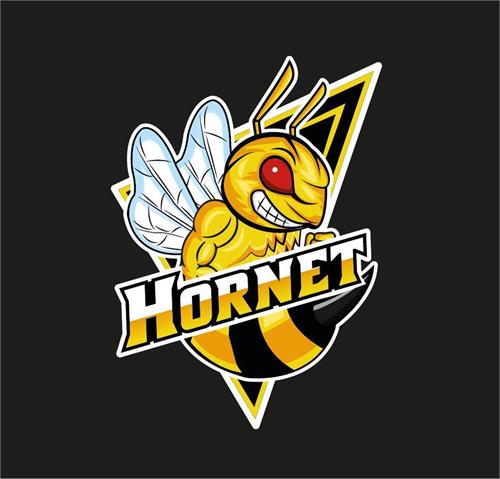 HORNET trademark