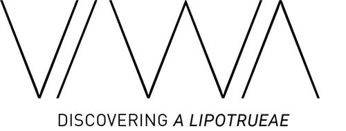 V/WA DISCOVERING A LIPOTRUEAE trademark