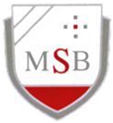 MSB trademark