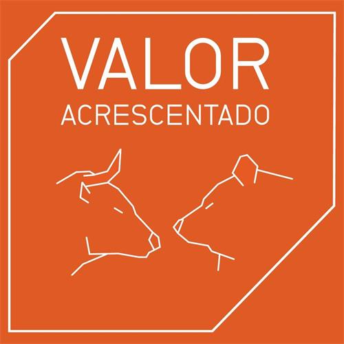 VALOR ACRESCENTADO trademark