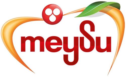 MEYSU trademark