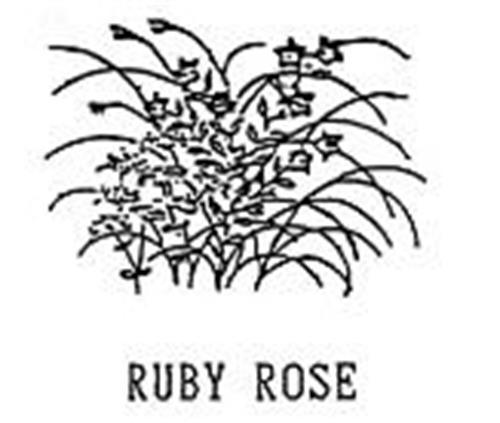 RUBY ROSE trademark