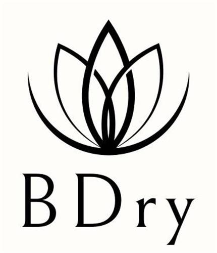 BDry trademark