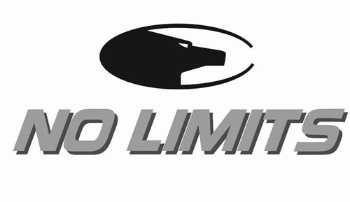 NO LIMITS trademark