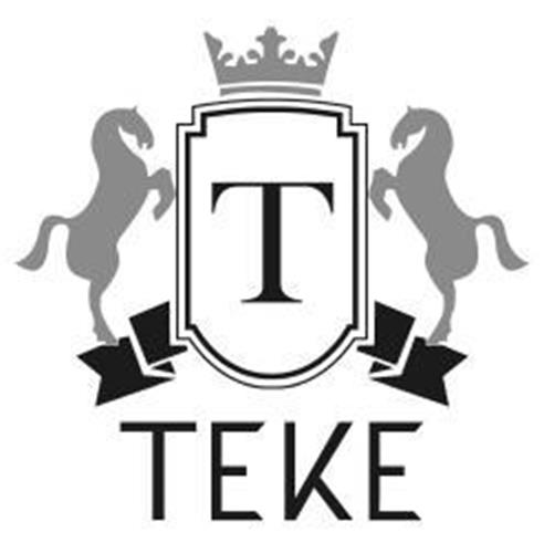 T TEKE trademark