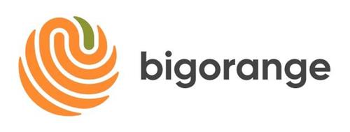 bigorange trademark