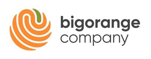 bigorange company trademark