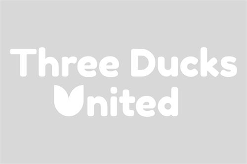 Three Ducks United trademark