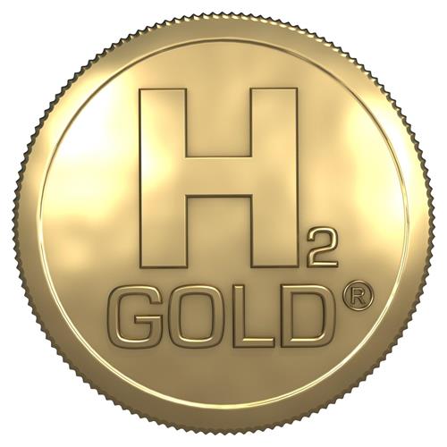 H 2 GOLD trademark