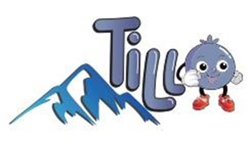 TILLO trademark