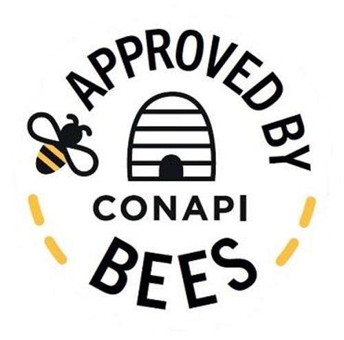 APPROVED BY CONAPI BEES trademark