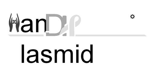 HanDIP lasmid trademark