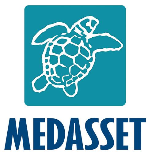 MEDASSET trademark