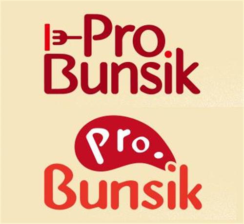 Pro Bunsik trademark