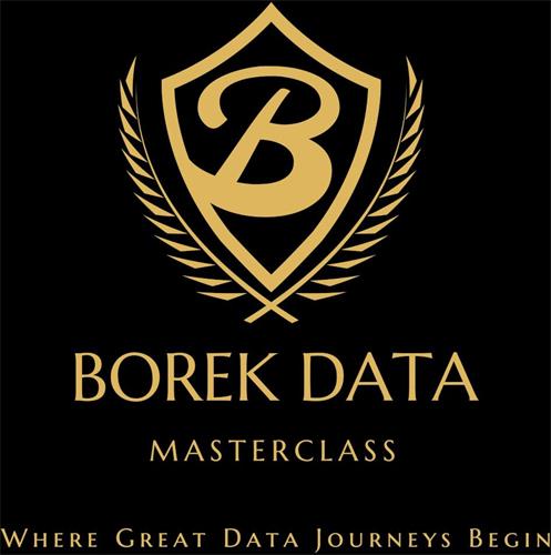 BOREK DATA MASTERCLASS WHERE GREAT DATA JOURNEYS BEGIN trademark