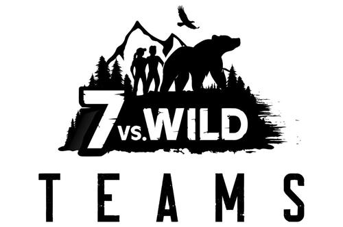 7 vs. WILD TEAMS trademark