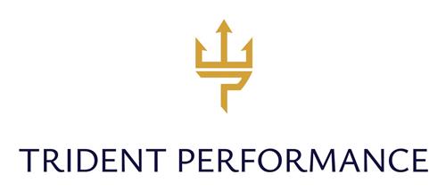 TRIDENT PERFORMANCE trademark