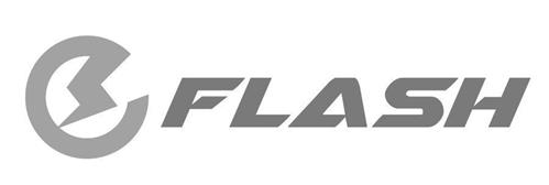 eFLASH trademark