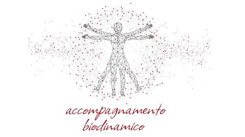 ACCOMPAGNAMENTO BIODINAMICO trademark