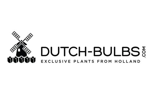 DUTCH BULBS.COM EXCLUSIVE PLANTS FROM HOLLAND trademark