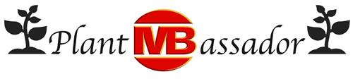 Plant MB assador trademark