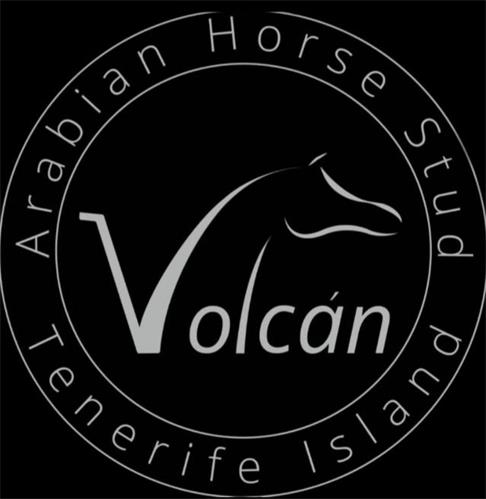 Arabian Horse Stud Volcan Tenerife Island trademark