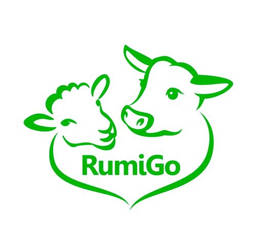 RumiGo trademark