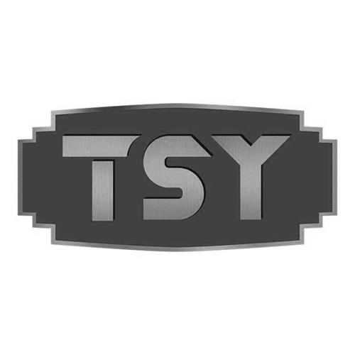 TSY trademark