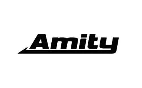 Amity trademark