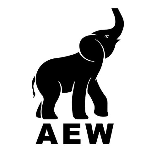 AEW trademark