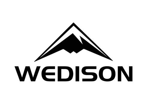 WEDISON trademark