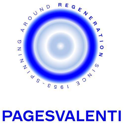 SPINNING AROUND REGENERATION SINCE 1953 PAGESVALENTI trademark