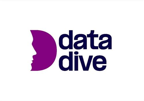 data dive trademark