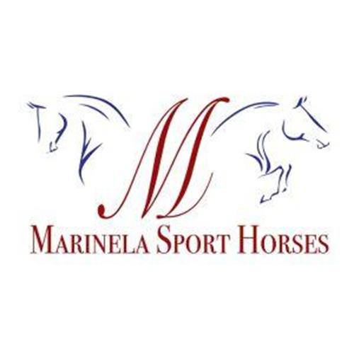 M MARINELA SPORT HORSES trademark